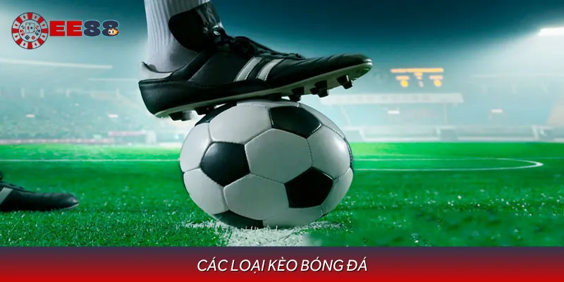 Cẩm Nang Các Loại Kèo Bóng Đá - Kiến Thức Trước Khi Cá Cược