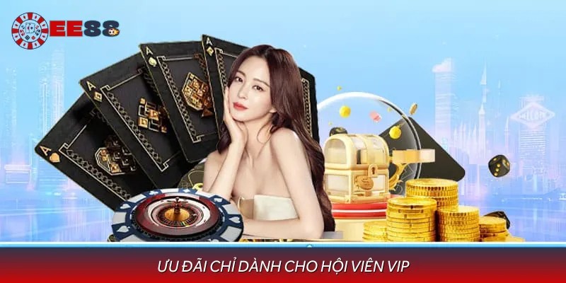 Những ưu đãi được nhận khi trở thành VIP