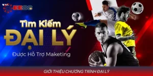 Giới Thiệu Chương Trình Đại Lý Cùng Nhiều Thông Tin Chính