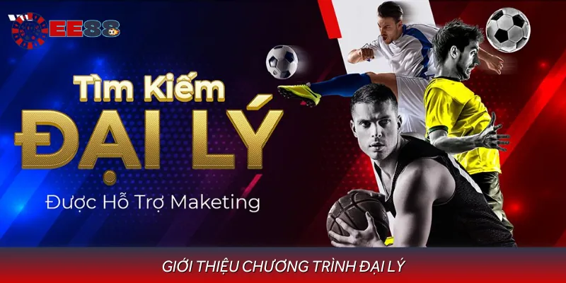 Giới Thiệu Chương Trình Đại Lý Cùng Nhiều Thông Tin Chính