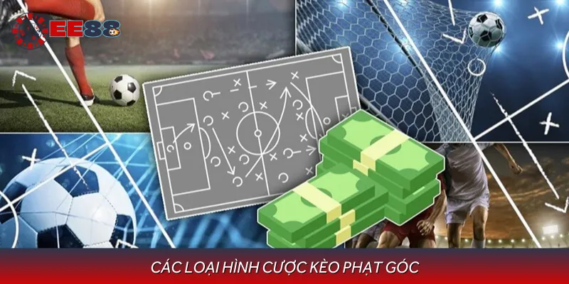Các loại kèo góc được áp dụng thường xuyên