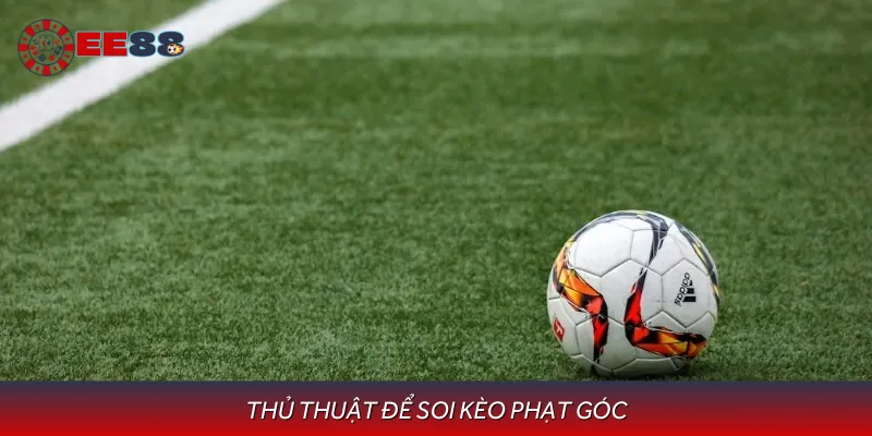 Chiến thuật để cá cược uy tín