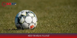 Khái Niệm Kèo Tài Xỉu 0.75 Là Gì Cùng Cách Chơi Dễ Dàng