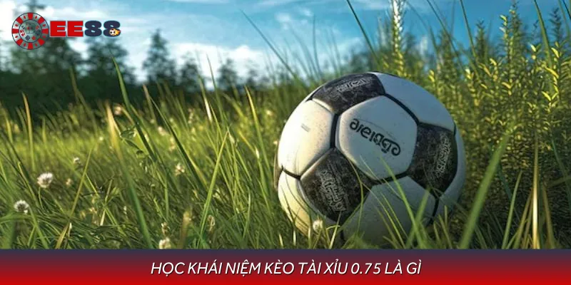 Định nghĩa kèo tài xỉu 0.75 là gì để hiểu cách chơi