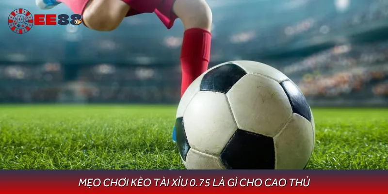 Thủ thuật để chơi kèo tài xỉu 0.75 là gì sao cho dễ thắng cược