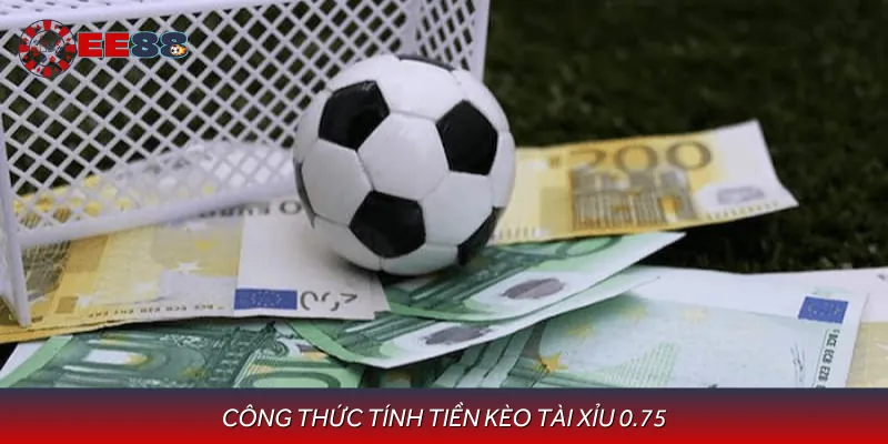 Hướng dẫn cách tính tiền kèo tài xỉu 0.75 là gì