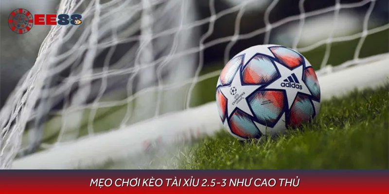 Tổng hợp vài mẹo kèo tài xỉu 2.5-3 là gì uy tín nhất