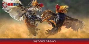 Hướng Dẫn Luật Chơi Đá Gà C1 Theo Tiêu Chuẩn Quốc Tế