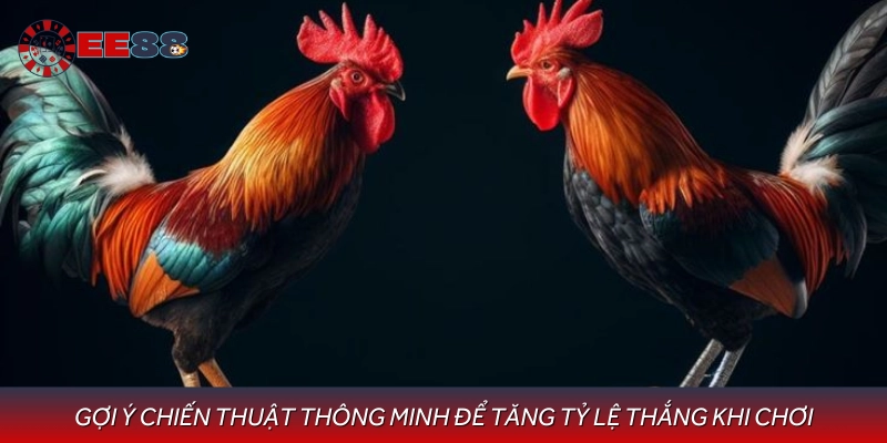Chia sẻ mẹo giúp người chơi tự tin hơn khi tham gia đá gà