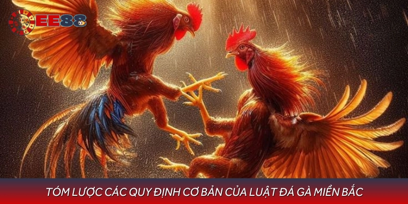 Giới thiệu chi tiết luật đá gà miền Bắc hiện hành