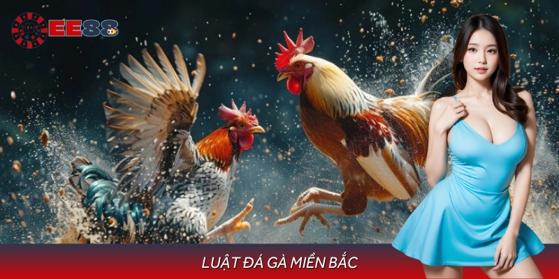 Khám Phá Luật Đá Gà Miền Bắc Chuẩn Xác Từ EE88