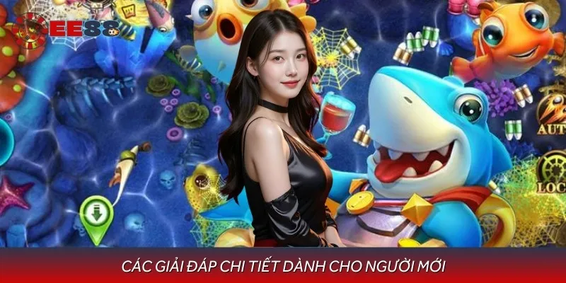 Các giải đáp chi tiết dành cho người mới