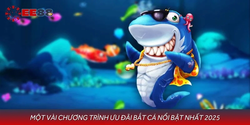 Một vài chương trình ưu đãi bắt cá nổi bật nhất 2025