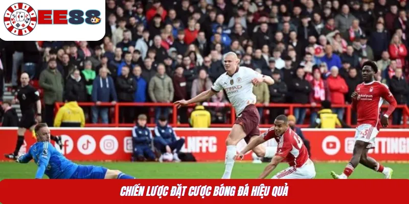 Chiến lược đặt cược bóng đá hiệu quả