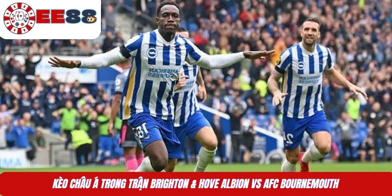 Kèo châu Á trong trận Brighton & Hove Albion vs AFC Bournemouth