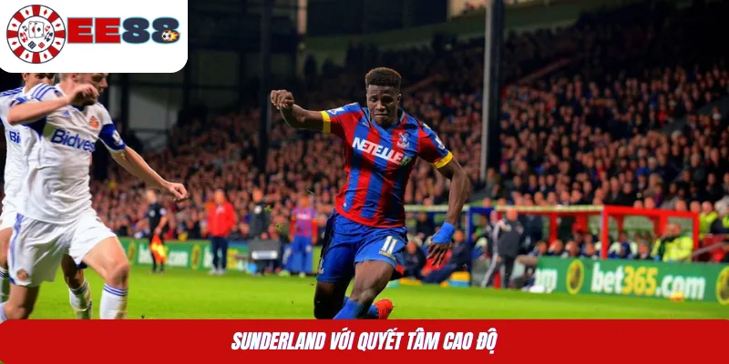 Sunderland với quyết tâm cao độ